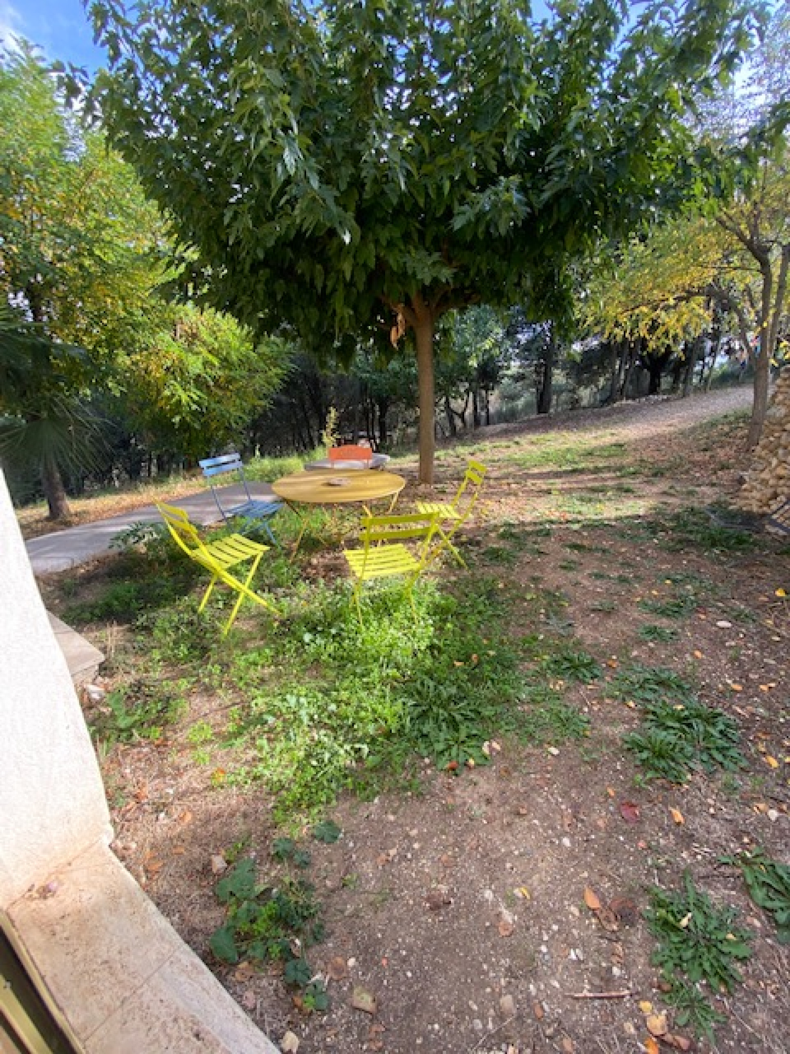 Image_, Maison, Valensole, ref :V310000299